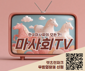 배너