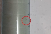 [사설] 수돗물 유충 전국 확산…정부 ‘소극 행정’ 한심