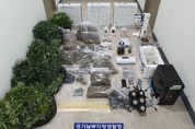 [영상] 아파트서 '대마' 재배…다크웹으로 유통한 일당