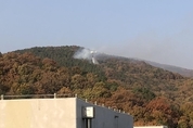 수원 광교산 화재…소방인원 117명 투입해 90분만에 진화