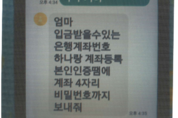 “엄마 휴대폰 수리비 좀”… 메신저피싱으로 억대 수익 챙긴 일당