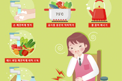 노로바이러스 환자 일주일새 52％ 증가