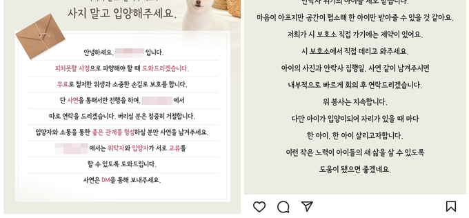 [기획] ‘보호소’로 위장한 신종 펫샵…인식 부족, 규제 방안 ‘全無’