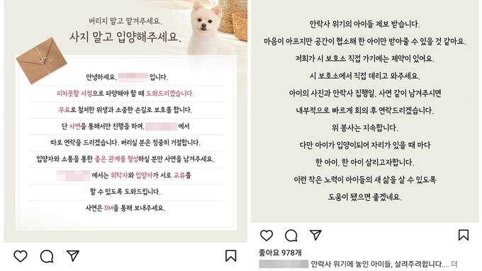 [기획] ‘보호소’로 위장한 신종 펫샵…인식 부족, 규제 방안 ‘全無’