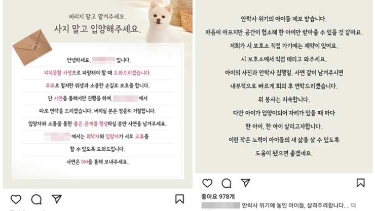[기획] ‘보호소’로 위장한 신종 펫샵…인식 부족, 규제 방안 ‘全無’
