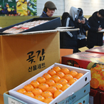 설 연휴 최장 9일…병원·전통시장·고속도로 이용 체크포인트
