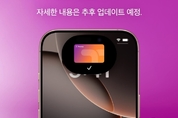 "대중교통도 된다"…카드업계, 커지는 애플페이 '딜레마'