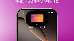 "대중교통도 된다"…카드업계, 커지는 애플페이 '딜레마'