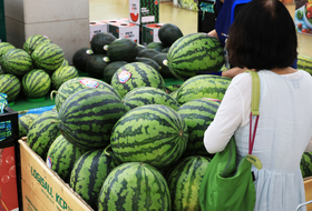 정부, 농축산물 최대 40 할인…배추·무 수급도 선제 조절