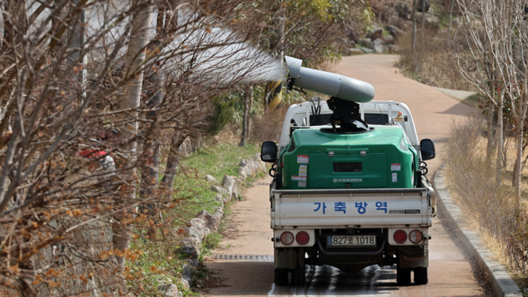 AI·ASF 동시 발생…축산·유통업계 ‘초비상’