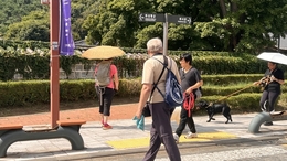 [르포] "수원 화성행궁이 어디에요?"…혼재된 영문 표기 외국인은 '혼란'