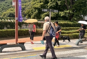 [르포] "수원 화성행궁이 어디에요?"…혼재된 영문 표기 외국인은 '혼란'