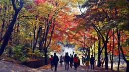 '서울대 안양수목원', 58년 만에 시민 품으로...'11월 전면 개방'