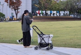 예산부족에 유기동물 열악한 관리실태알아도… 인천시, 개선사업 '외면'