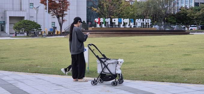 예산부족에 유기동물 열악한 관리실태알아도… 인천시, 개선사업 '외면'