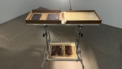 [오늘의 전시] 천연 고무액 위에 새긴 하트, 사라짐과 생존의 경계를 말하다