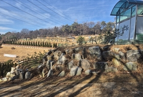 화성시 종교시설 수목장, 불법 운영 의혹…장사시설 특례 적용 논란