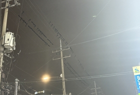 매년 반복되는 떼까마귀에 악몽겪는 수원시민…향후 퇴치 방향 이대로 괜찮나