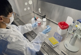 경기도, 강릉 ASF 역학농가 '전두 음성'... 설 명절 돼지고기 수급 안정에 총력