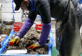 [르포] 높아진 체감 물가에…설 앞둔 경기도민들 반색 대신 ‘난색’