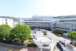 “끝까지 밝힌다”… 강화군, 다송천 물고기 집단 폐사 정밀 조사 용역