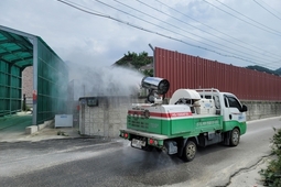 경기 연천 아프리카돼지열병 발병으로 3500마리 살처분
