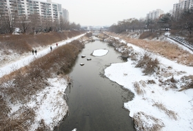 [현장에서]한강 얼어도 안양천은 얼지 않는 이유