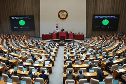 '대미투자특별법' 여야 합의로 국회 통과…발의 106일 만에 입법