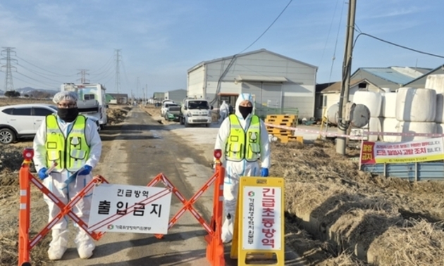 축산 방역 '구멍’... 경기지역 3대 가축전염병 잇달아 발생