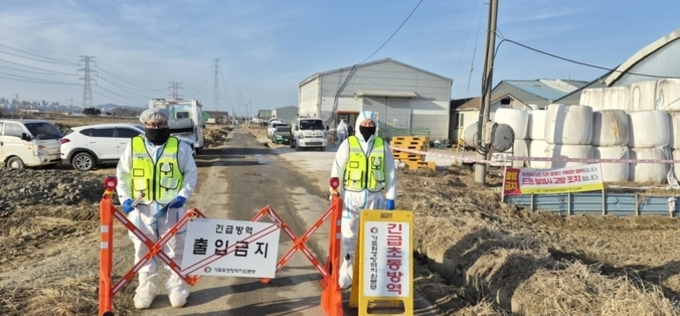 경기지역 축산 방역 ‘비상’... '3대 가축전염병' 동시다발 발생