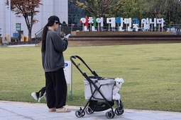 인천시, 반려동물 지원 앱 구축했지만…관리·홍보는 뒷전