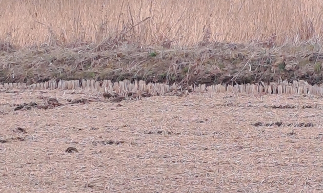 [현장에서]아이들 급식 책임지던 '의왕 친환경 우렁쌀' 곧 사라진다