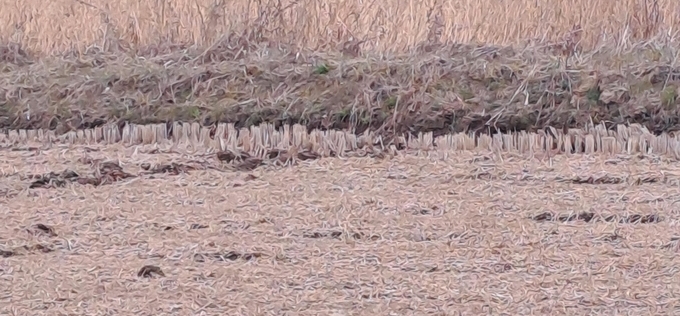 [현장에서]아이들 급식 책임지던 '의왕 친환경 우렁쌀' 곧 사라진다