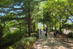 경기도, 도시숲 현장점검에 나서… 5월 말까지 총 302곳