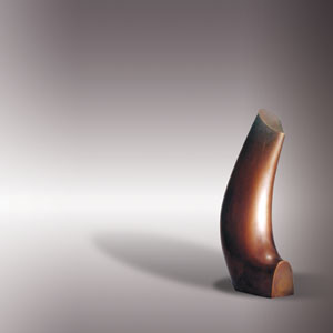 096-15 브론즈 (1996年)