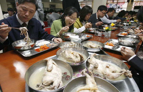 21일 수원 농촌진흥청 구내식당에서 직원들이 조류 인플루엔자(AI) 발생으로 닭고기 소비 위축을 우려, 닭고기 안전성 홍보와 소비촉진을 위해 삼계탕을 맛있게 먹고 있다./노경신기자 mono316@