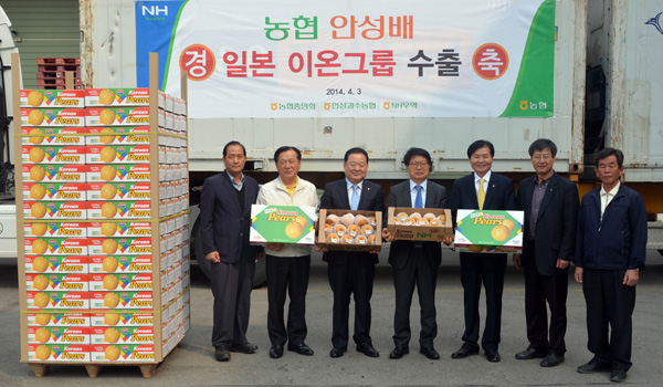 경기농협은 3일 안성과수농협 산지유통센터에서 나승렬 농협중앙회 상무(오른쪽 네번째)와 조재록 경기농협 본부장(왼쪽 세번째) 등이 참석한 가운데 일본 최대 유통업체인 이온 그룹과의 첫 농산물 수출품목인 안성과수농협의 신고배를 수출하는 기념식을 가졌다. /경기농협 제공