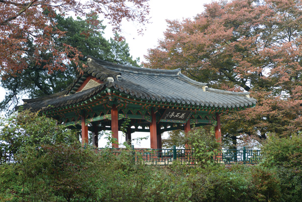 화석정