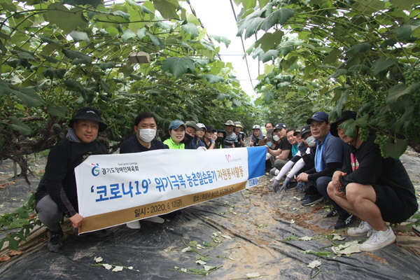 경기도장애인체육회 임직원들이 지난 12일 화성시 송산면 천등리 포도재배 농가(농가주: 안성분)에서 농촌 봉사 활동을 펼친 뒤 기념촬영을 하고 있다. /경기도장애인체육회 제공