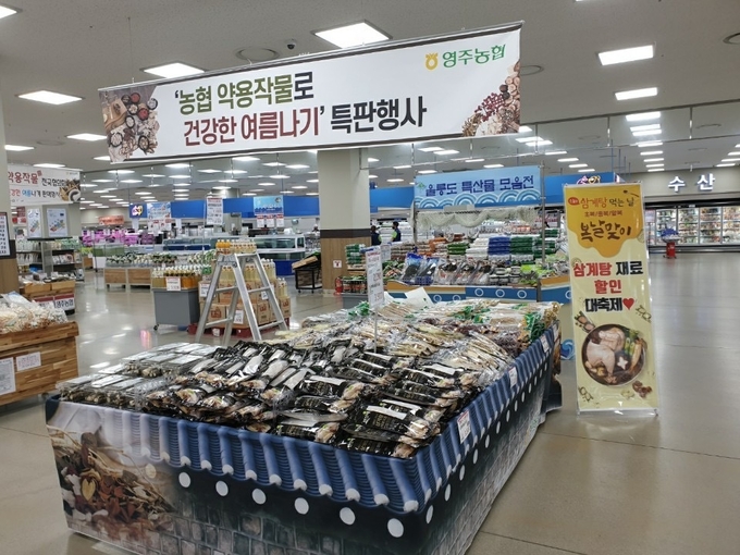 경기도 양주시 농협양주유통센터에서 '국산 약용작물로 건강한 여름나기' 특판행사를 준비 중이다.