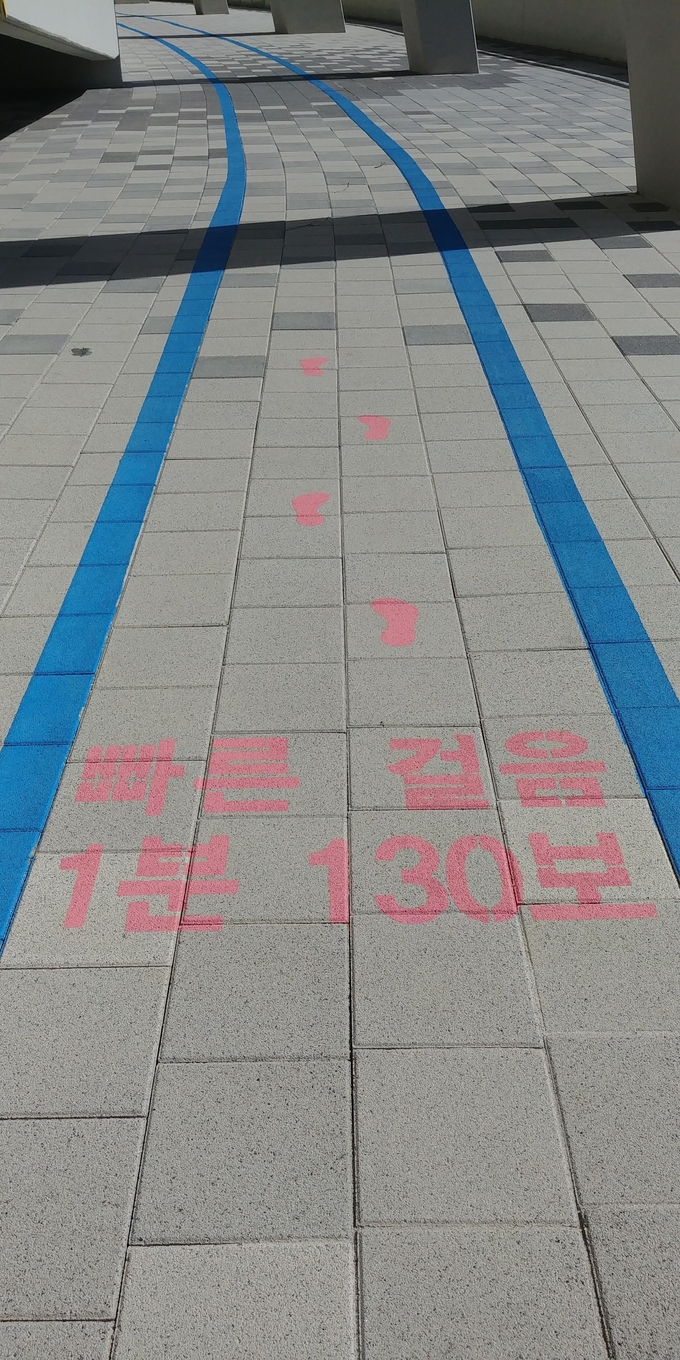 용인시민들을 위해 미르스타디움에 조성된 산책로 (사진=용인시)