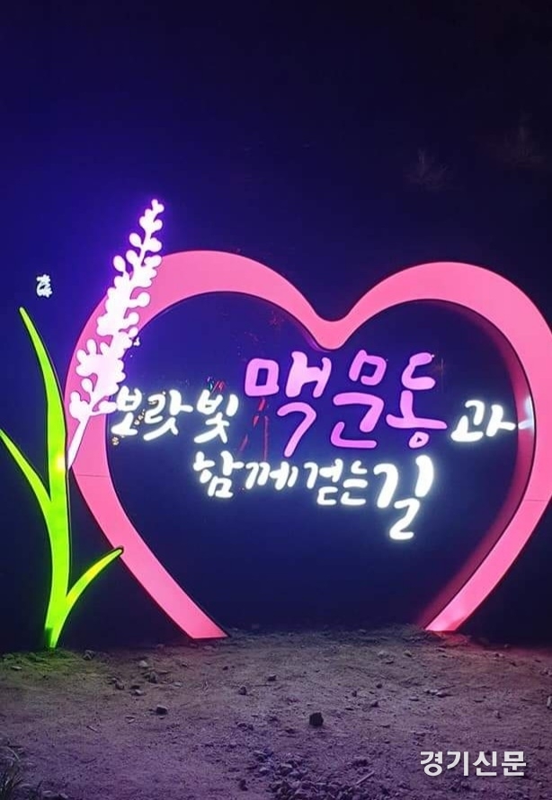 청계산책로의 새로운 포토존이 될 '맥문동 길' 조명 (사진=포천시 제공)