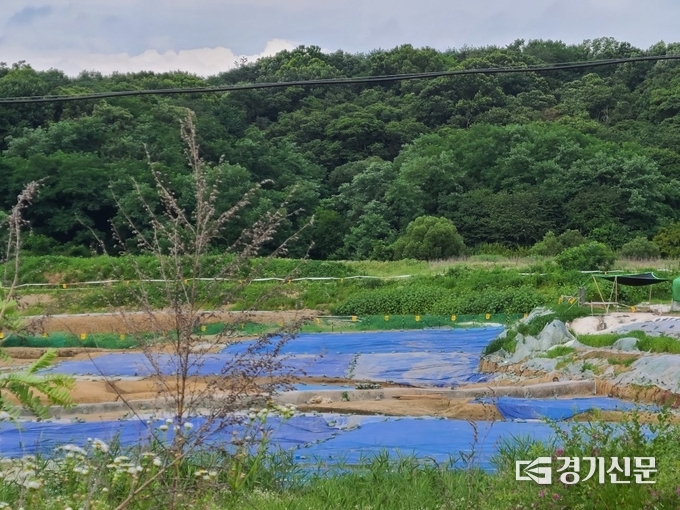 화성시 태안3지구내 한옥마을 건립 예정지에서 대규모 고려시대 집터가 발굴됐다./안직수기자