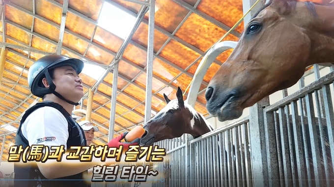 베르아델 승마클럽에서 명마와 교감하며 즐기는 힐링타임