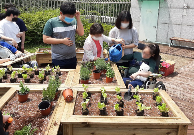 경기농식품유통진흥원이 조성한 사회적 도시텃밭.(사진-경기농식품유통진흥원 제공)