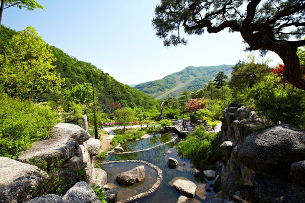 곤지암 화담숲 (사진=경기도 제공)