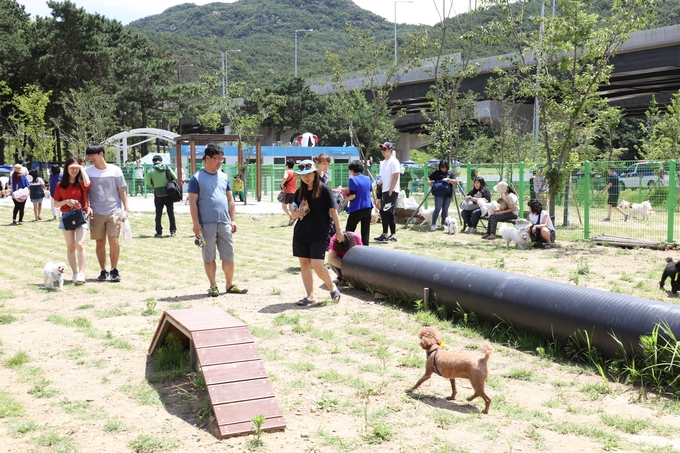 안양시가 주간시간대 재개장하는 삼막애견공원. /안양시 제공