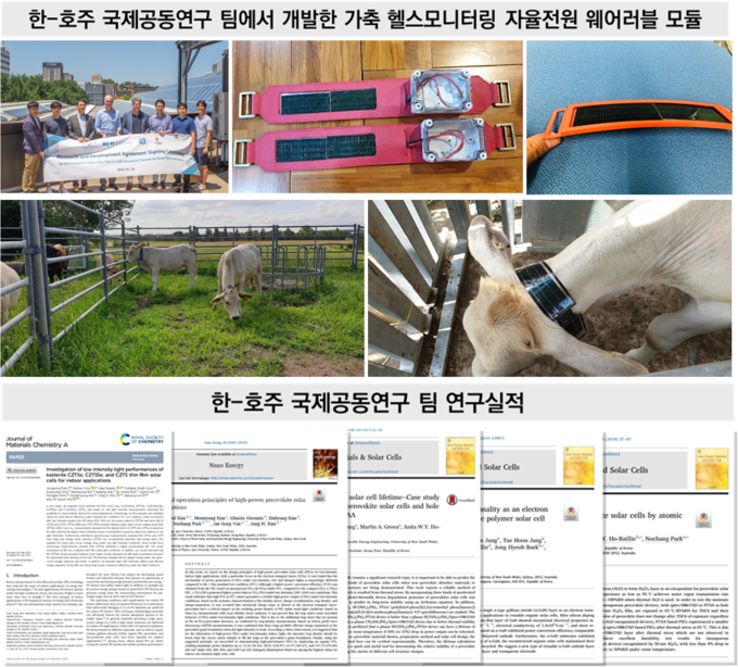 한-호주 국제공동연구팀에서 개발한 가축헬스 모니터링 자율전원 웨어러블 모듈 및 공동연구 실적. (사진 = 아주대학교 제공)