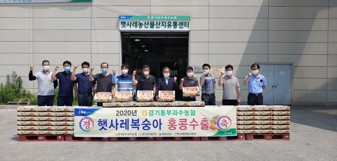 과수특목조합인 경기동부과수농협(본점 장호원읍)이 올해 주작목인 복숭아를 홍콩으로 수출했다. 이천시 대표 농특산물 축제인 복숭아 축제는 코로나 장기화로 결국 취소됐다. /경기동부과수농협 제공