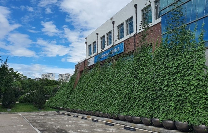 수원시 '그린커튼 조성사업' 모습 (사진=경기도 제공)